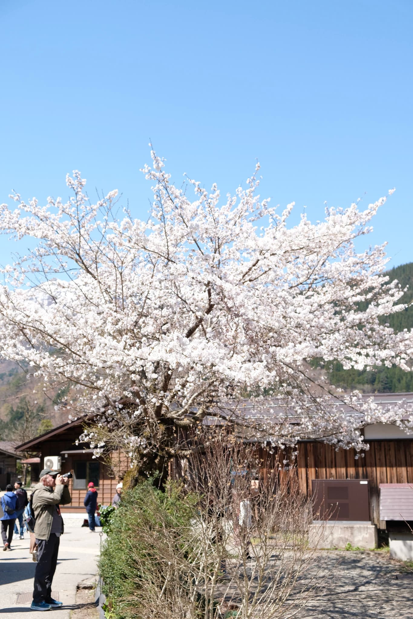 22-DSCF1404