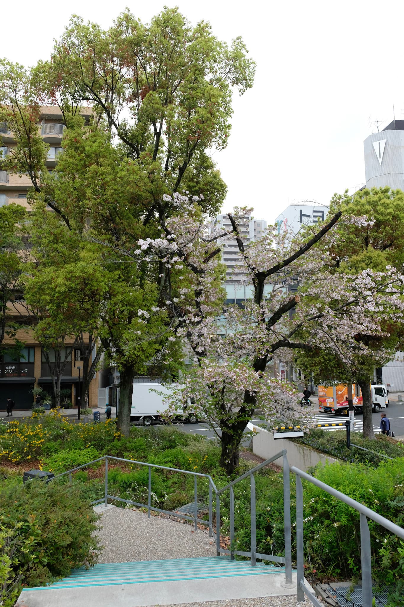 4-DSCF1320