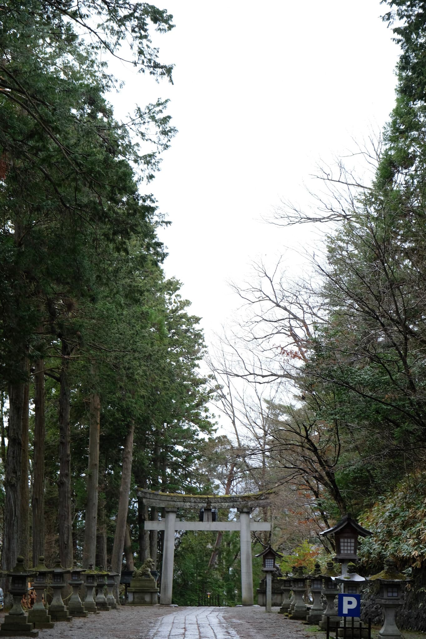 6-DSCF1334