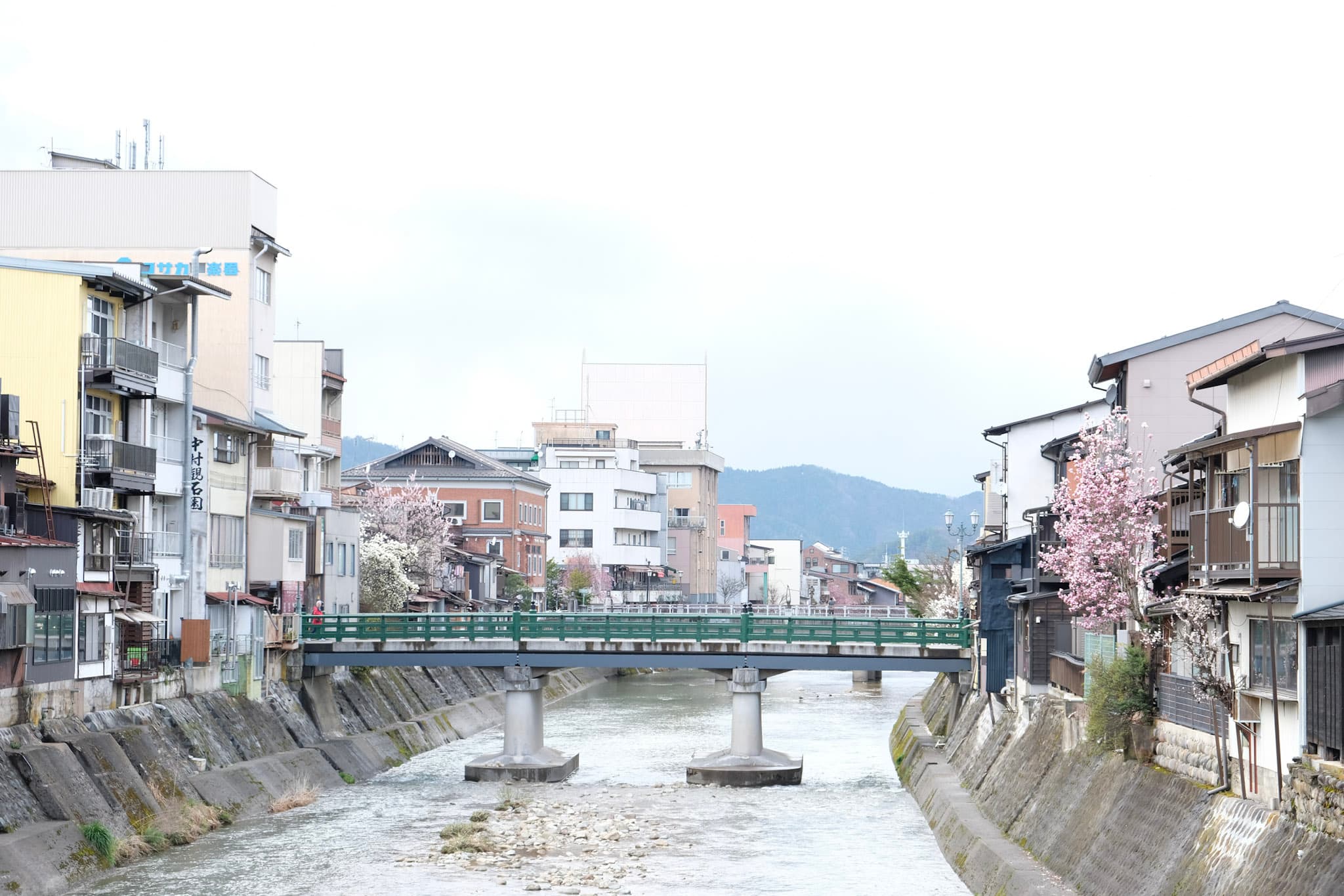 8-DSCF1353