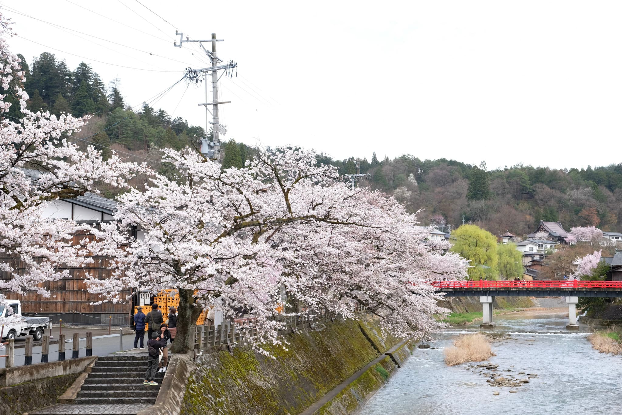10-DSCF1356